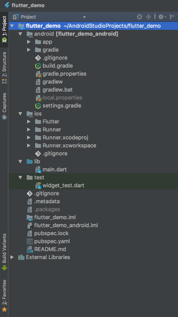 flutter project structure eMan